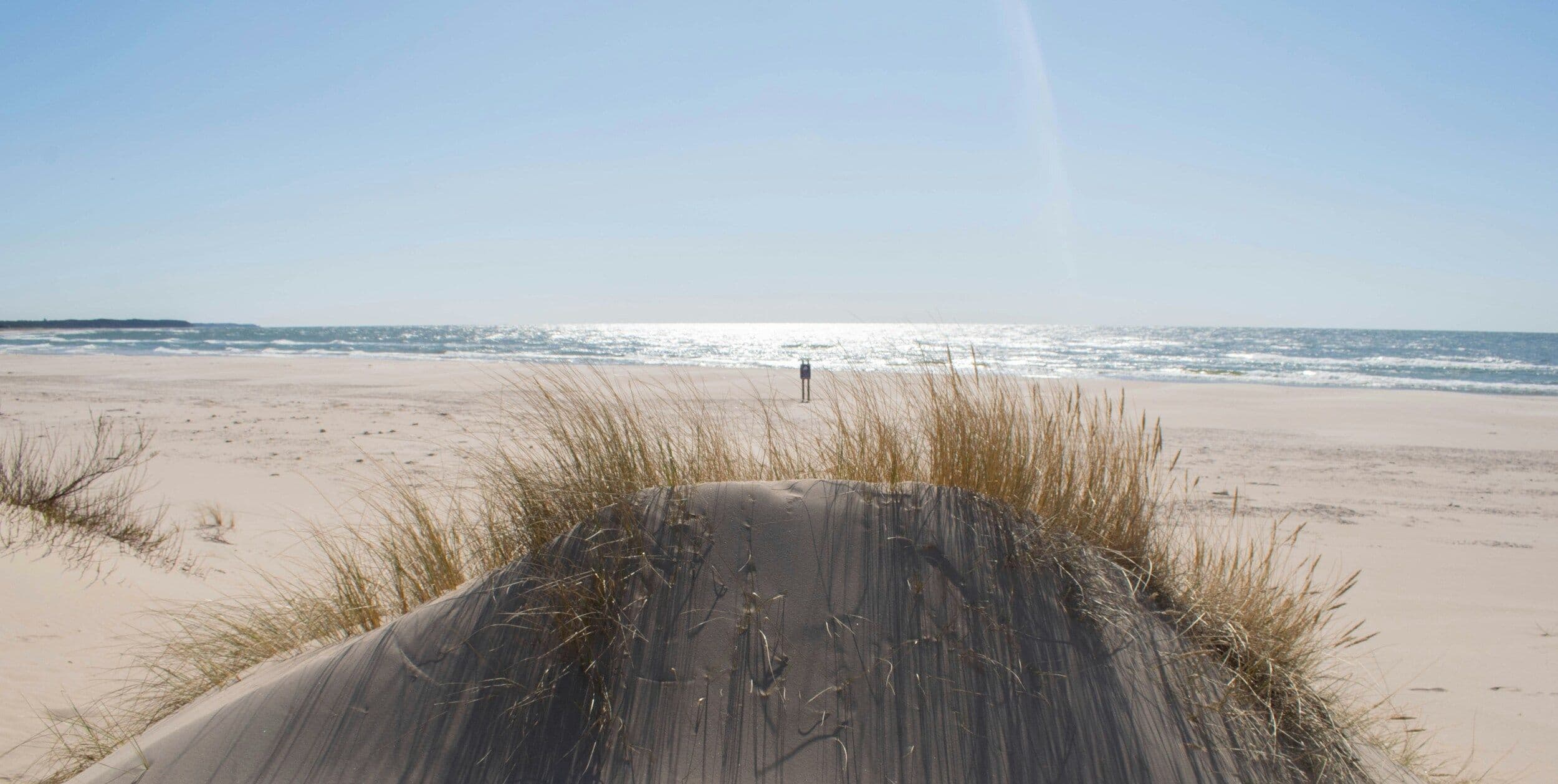 Witaj w Zdrowotelu! - plaża Łeba