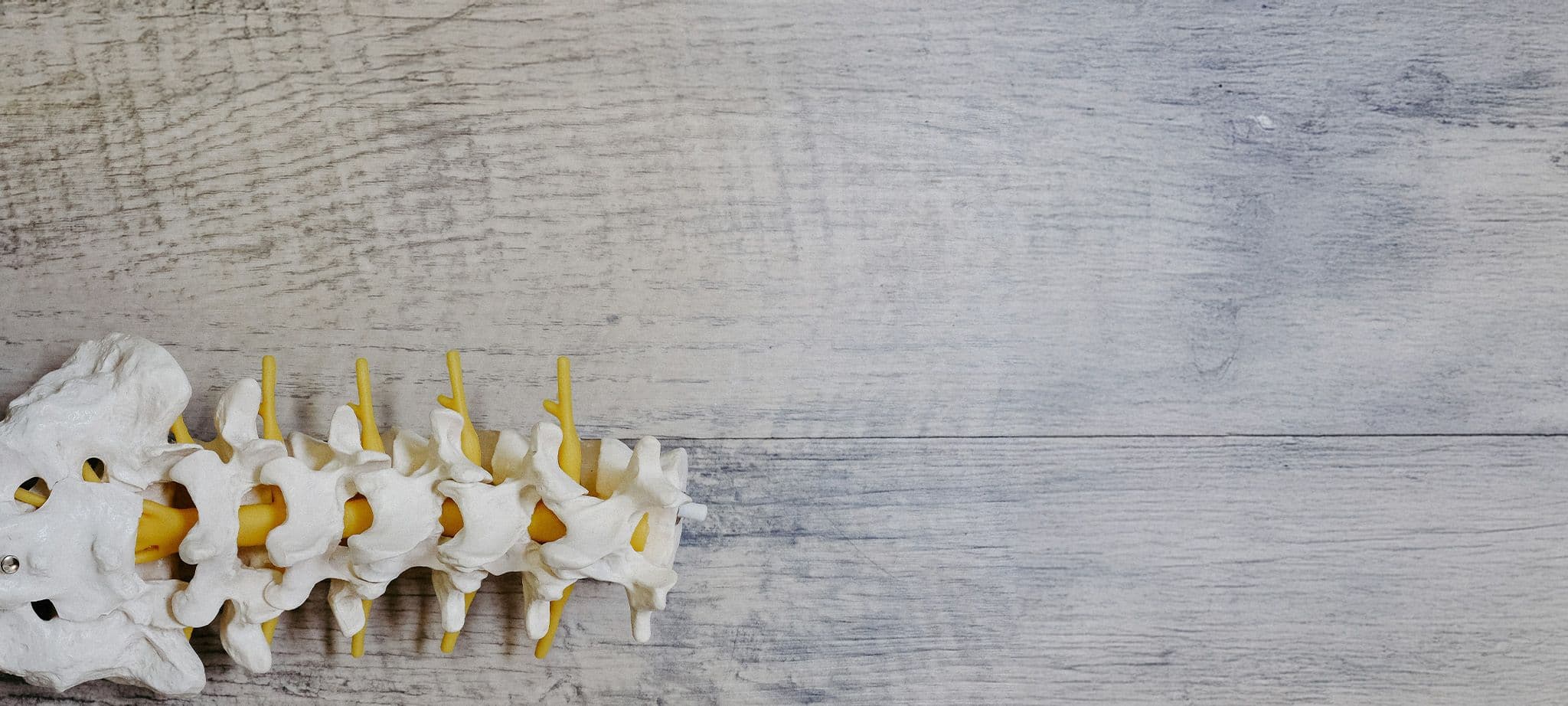 Masaż wirowy nóg i kręgosłupa łeba hydroterapia