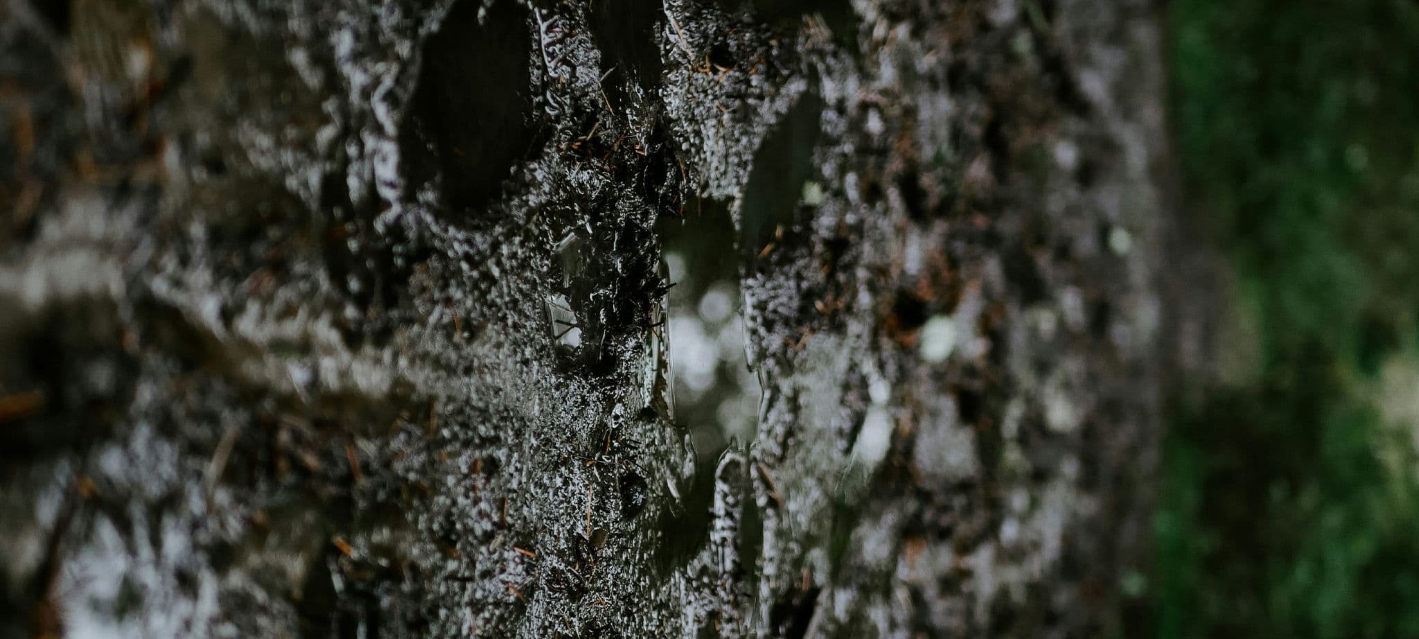 Regeneracyjna kąpiel borowinowa - fizjoterapia łeba