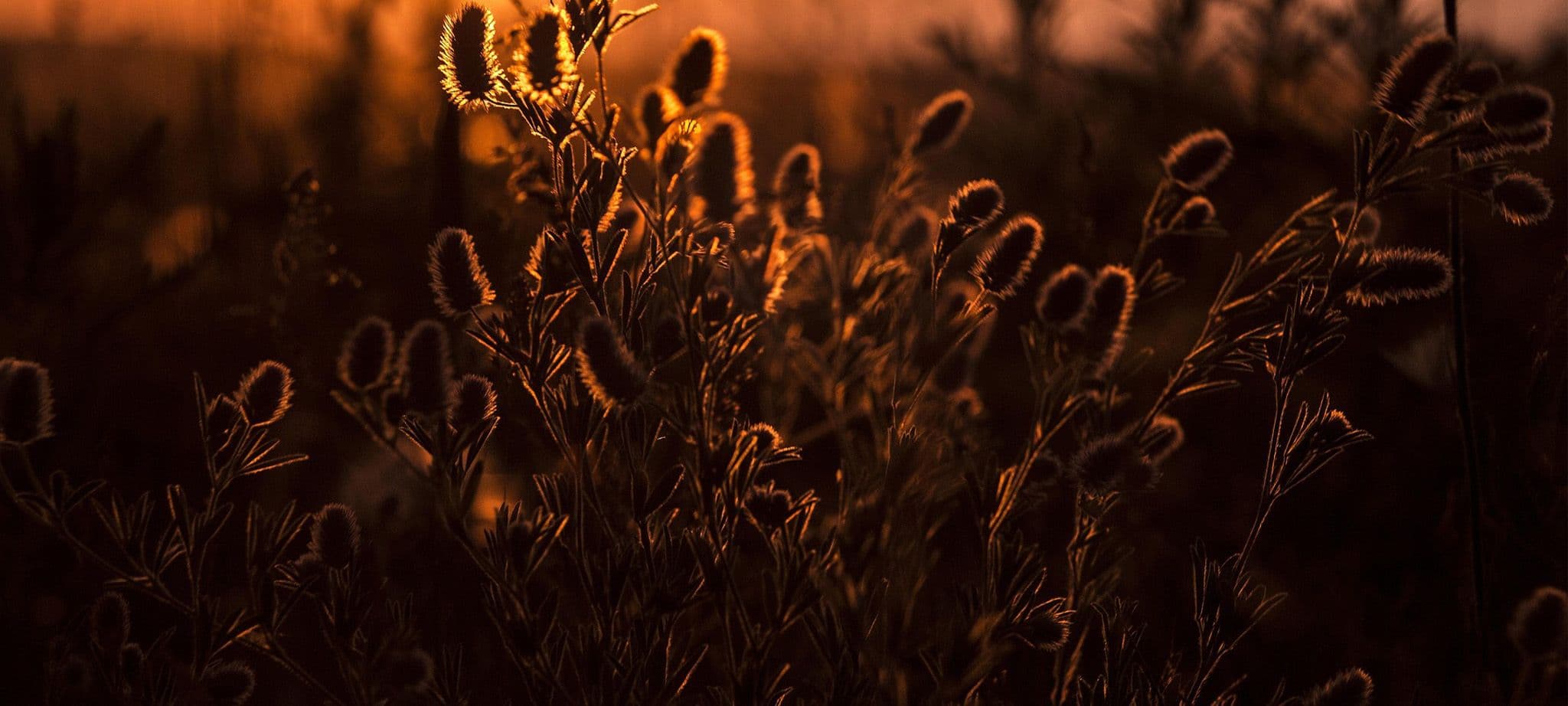 zabiegi rehabilitacja łeba