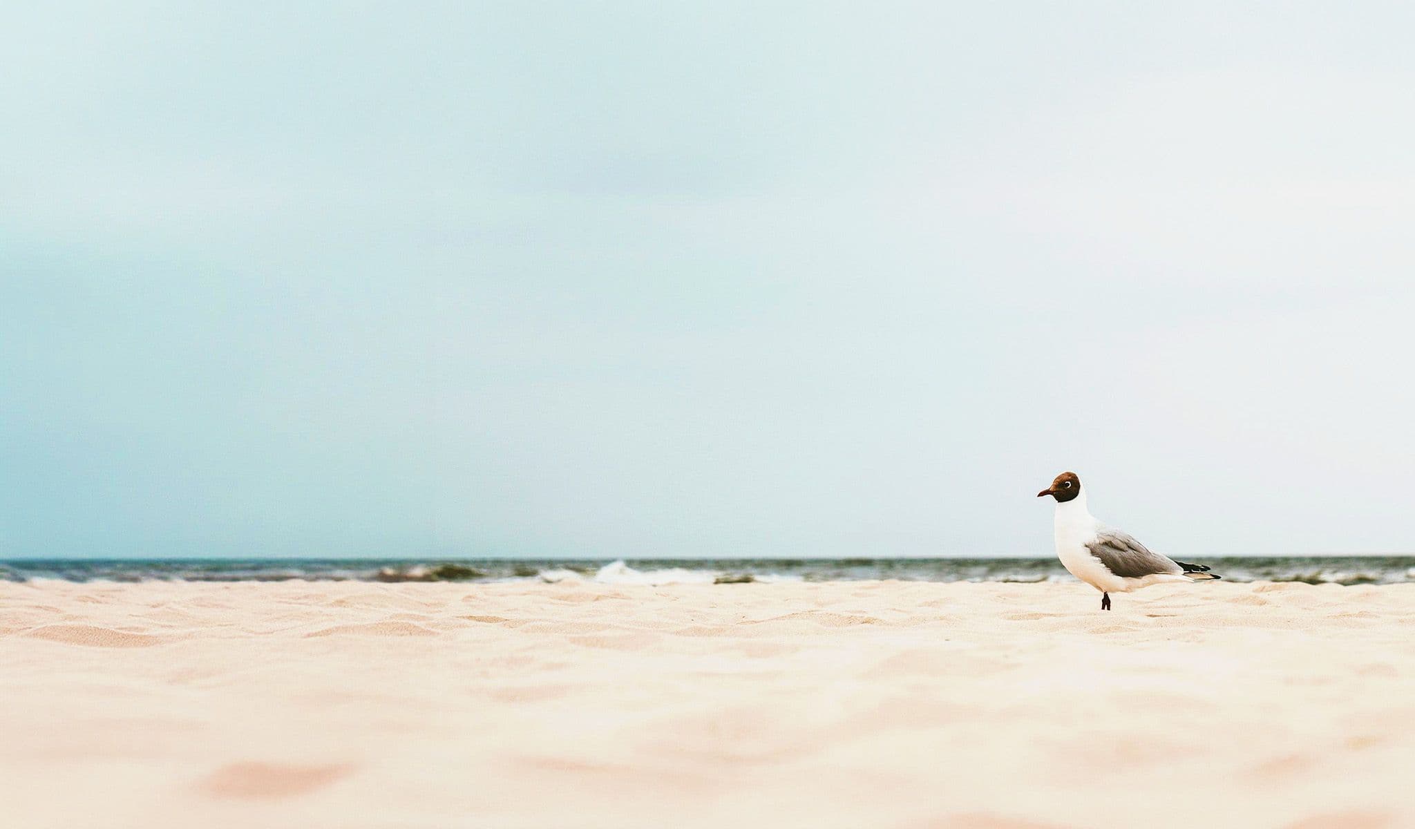 zdrowotel łeba lokalizacja